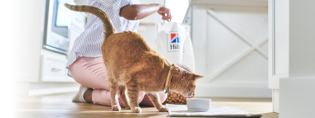 Digestive Care