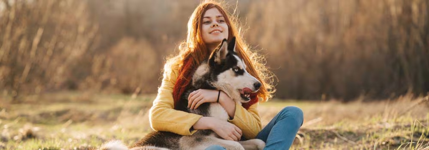 Photo of a Siberian Husky dog