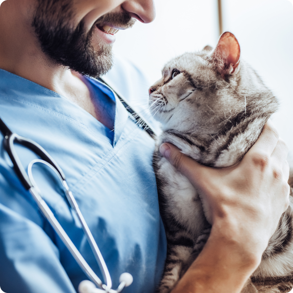 A vet holds a tabby cat, and they are looking affectionately into each other's eyes