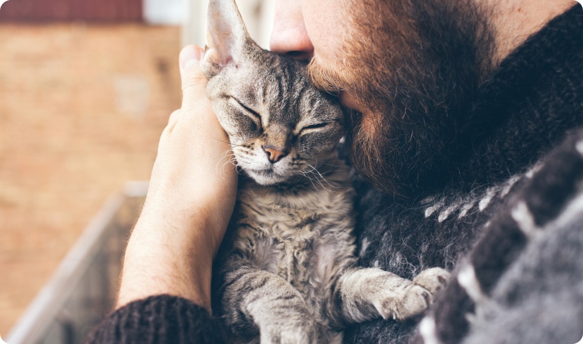 Close-up of a bearded man affectionately hugging his grey cat