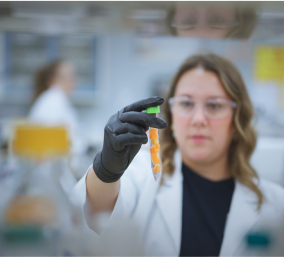 Hill's pet scientist