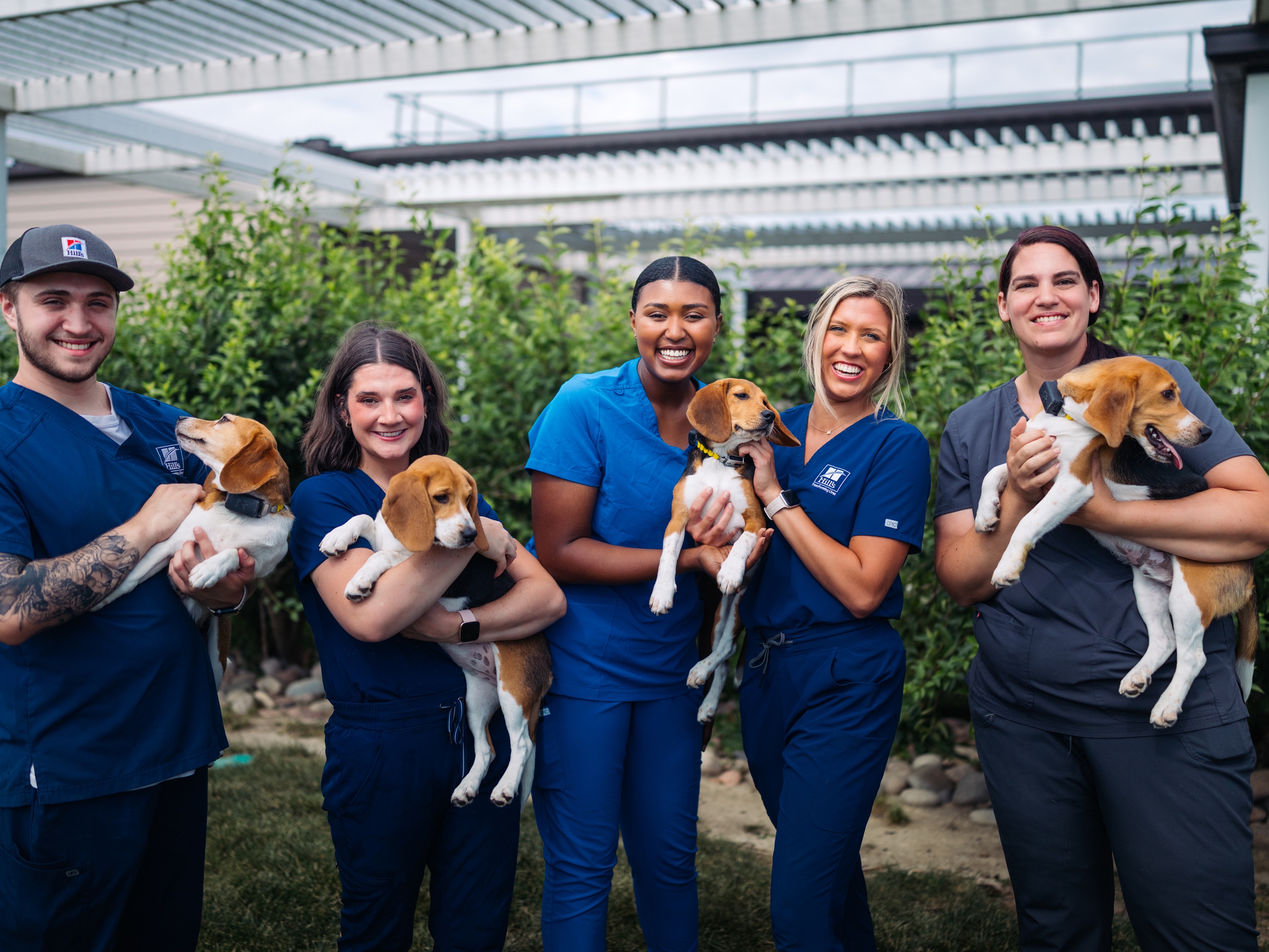 Hill's Pet's vets holding puppies