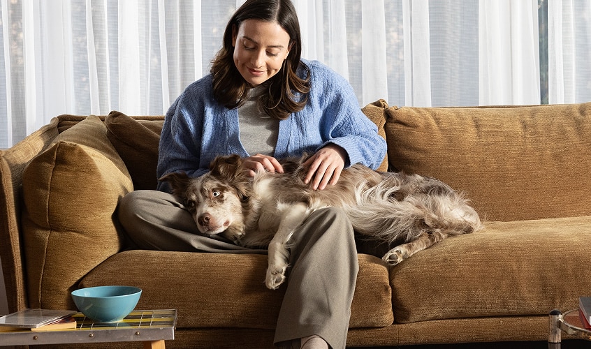 Dog and owner