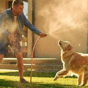 A family playing with a hose and their dog.