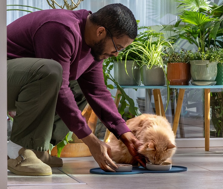 A pet parent pouring cat food in a bowl