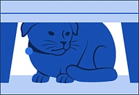 A cat hiding under a table