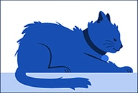 a cat decreased self grooming