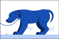 a dog with stiff joints