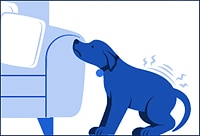 a dog doubting to jump