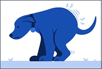 a dog with difficulty to squat