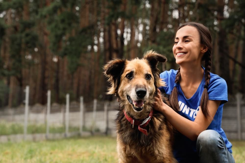 happy dog posing with female owner