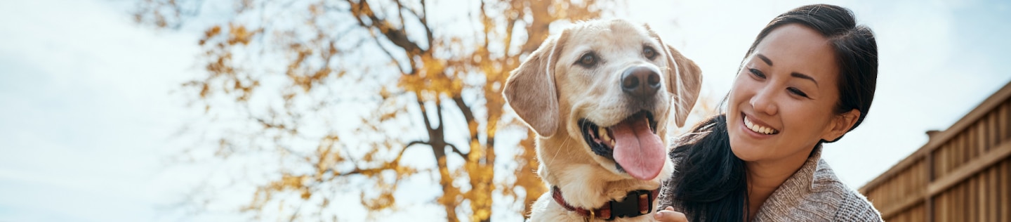 Asian woman, labrador and fun at park in autumn season