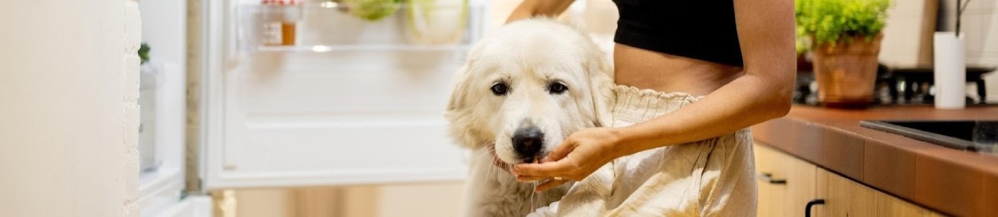 Young woman takes some food from a fridge filled with healthy vegetables and fruits and plays with her dog at home.