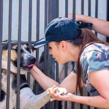 A woman pets a dog in a kennel at an animal shelter