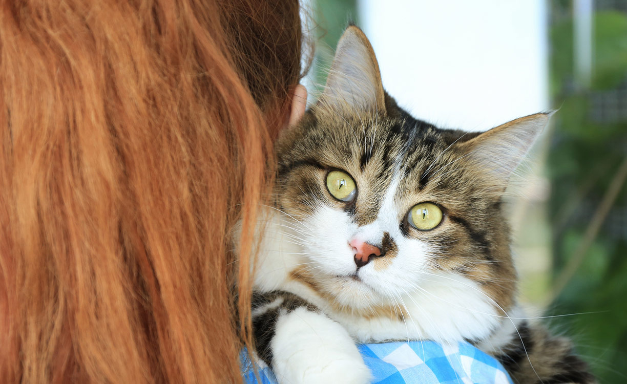 Woman in blue checkered shirt holds fluffy cat over her right shoulder
