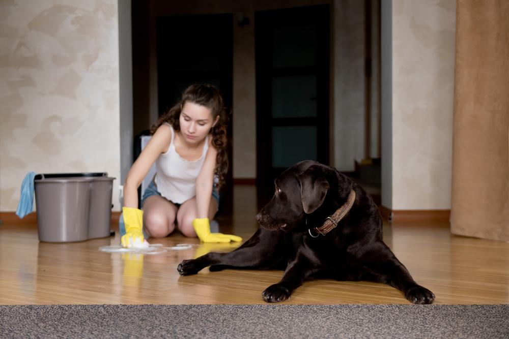 A woman cleans the floor beside a dog