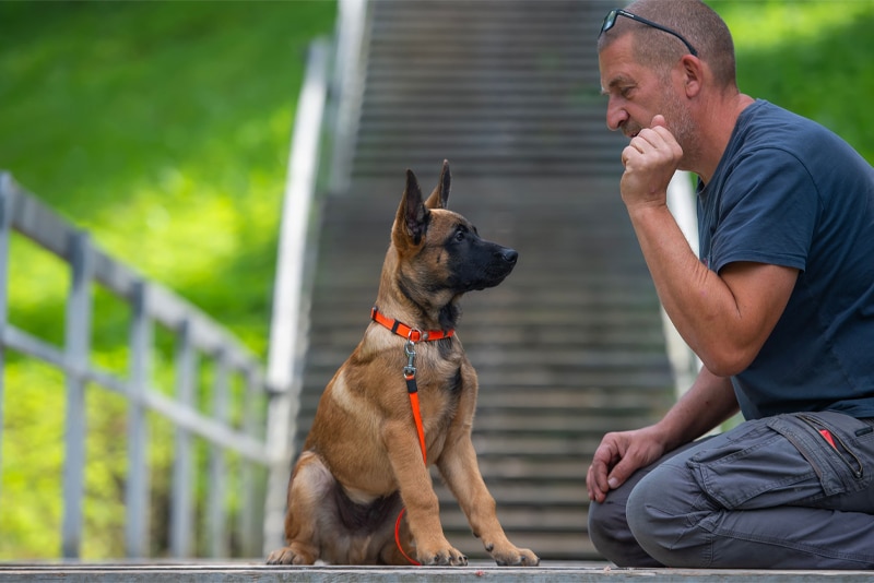 Owner training puppy outside on a leash