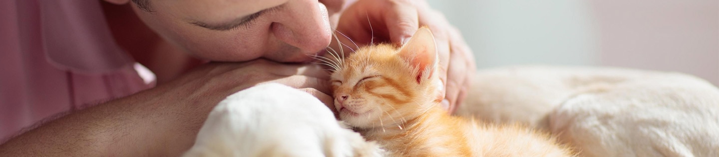 A person pets a kitten and puppy.