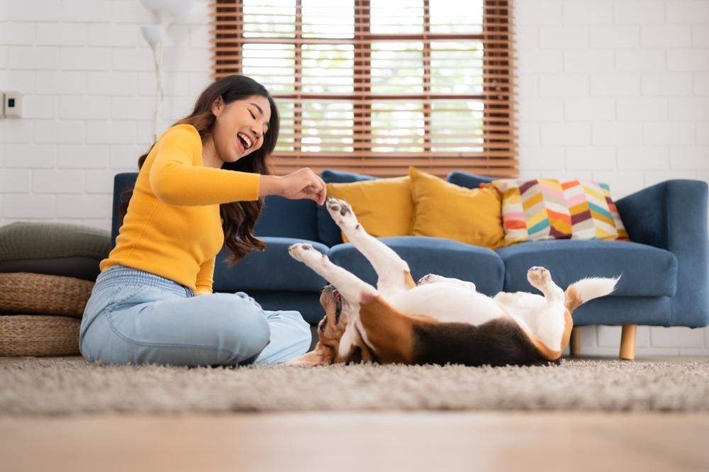 Woman playing with her dog in the living room of her house