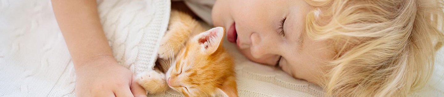 A toddler sleeps with a kitten