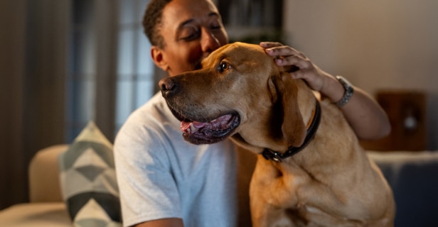 Man petting his dog