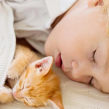 A toddler sleeps with a kitten
