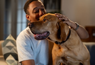 A person gently petting a golden dog, both looking happy.