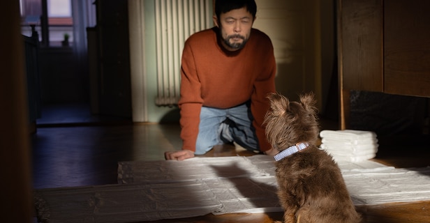 Man kneels facing a small brown dog on puppy training pads, with a stack of pads nearby.