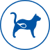Blue icon of a cat with a stomach symbol for digestive care