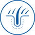 Blue icon of a hair follicle representing skin and coat health