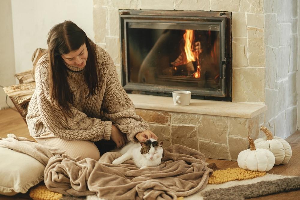 cat-in-a-chimney