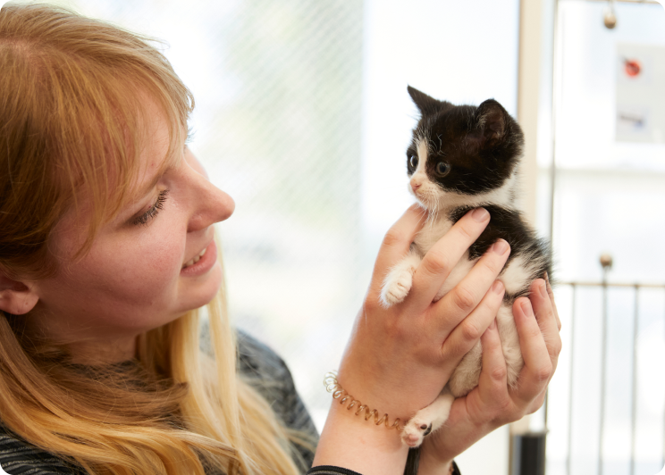 A woman holding a kitten in her hands