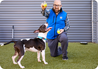 A man teaching a dog to catch a ball