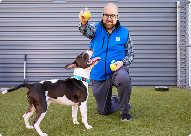 A man teaching a dog to catch a ball