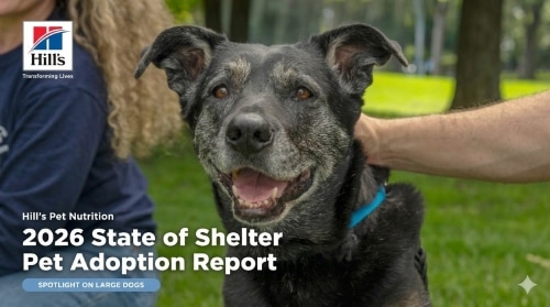 NEW REPORT FROM HILL’S PET NUTRITION FINDS LARGE DOGS FACE DISPROPORTIONATE BARRIERS TO ADOPTION