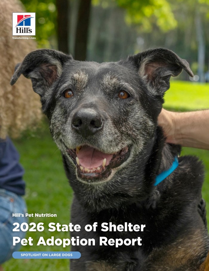 NEW REPORT FROM HILL’S PET NUTRITION FINDS LARGE DOGS FACE DISPROPORTIONATE BARRIERS TO ADOPTION