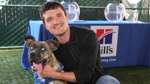 Shelter Pets Get Their Big Break as Actor Josh Hutcherson Joins Hill’s Pet Nutrition During Annual NBCUniversal Local’s Clear the Shelters
