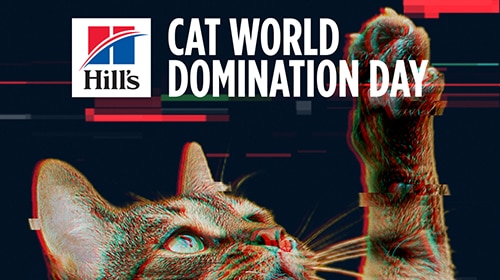 Cats Declare World Domination Set for June 24, Stage Takeover of Hill’s Pet Nutrition