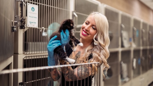 World of the Cat Report Hill's Pet Nutrition 2025