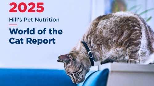 World of the Cat Report Hill's Pet Nutrition 2025