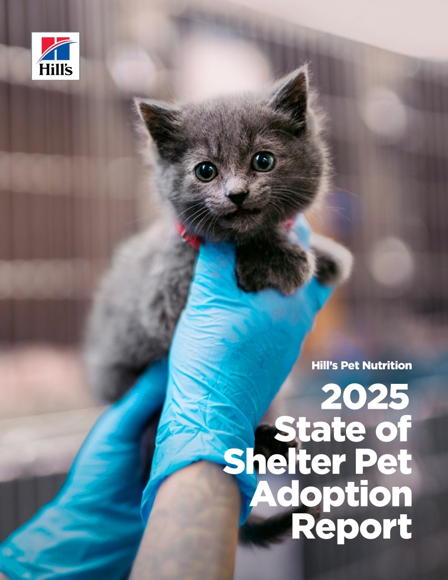 2025 State of Shelter Pet Adoption Report
