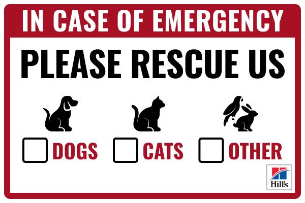 help-rescuers-find-your-pet