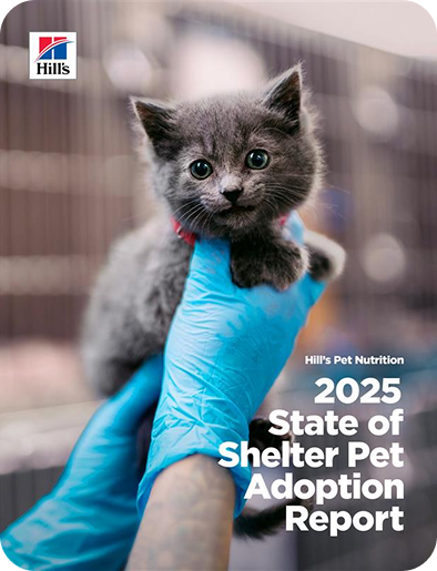 Person holding cat