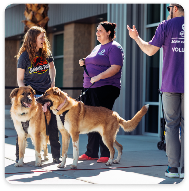 People with dogs