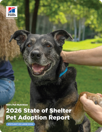 A dog placing their paws in a person's hand