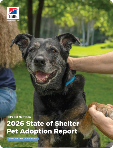 A dog placing their paws in a person's hand