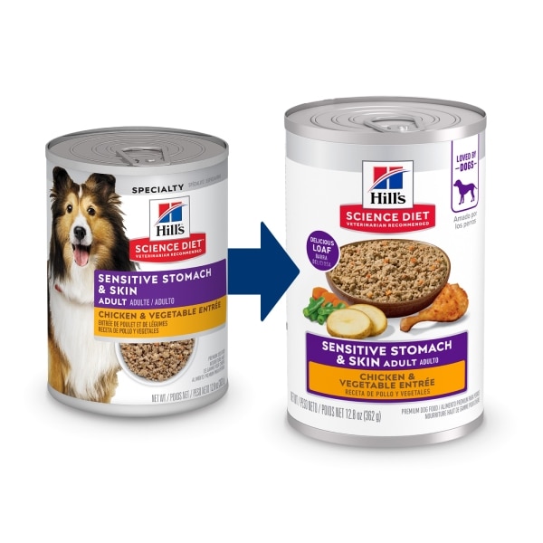 Dog Canned transition food
