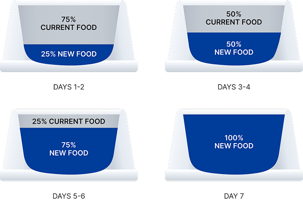(A guide diagram showing the step-by-step ratio transition from current food to new pet food over 7 days