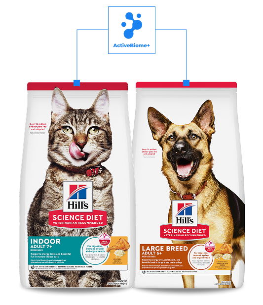Small white and brown dog sitting in front of Hill's Prescription Diet dog food bags.