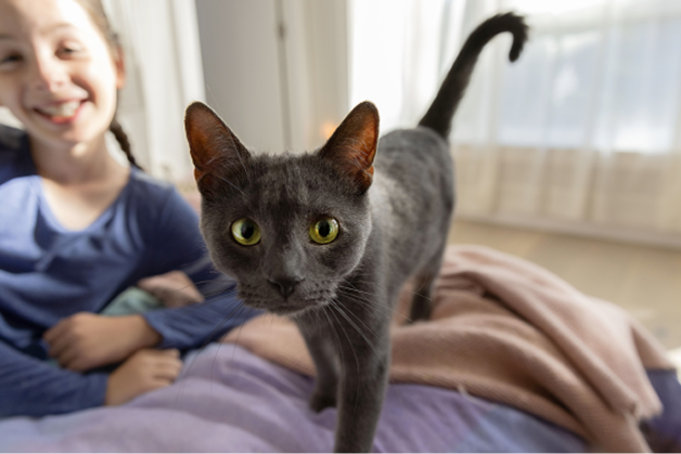 A happy young girl with a black cat beside her